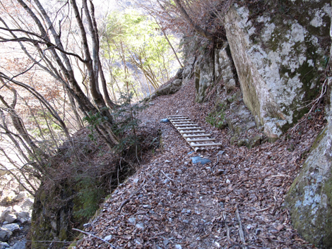 20160218hike (587)